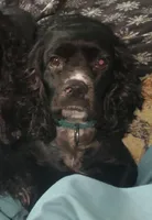 processed/10c5f7d2-8afa-4496-ad01-dcd88c91052f/facility/2ea649aa-dd79-4ab3-9c57-ea1cc402a015