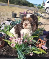 processed/10c5f7d2-8afa-4496-ad01-dcd88c91052f/facility/73a3e0af-759b-4d68-9990-b3eb87a7737a