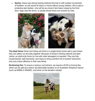 GRACE(Pepper1Girl2) and OSCAR, a female Australian Shepherd for sale in South Hill, VA – 8 of 10