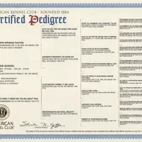 RAVEN + SPARTAN, a  Australian Shepherd for sale in South Hill, VA – Photo 10 of 10