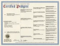 processed/10d1006d-fcdd-45bc-8f73-cf12b1627017/listing/8b26548e-d42f-4459-aae5-ff2b89d07aef/355fb8d1-dc59-4a89-8463-bebdd726694b