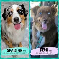 processed/10d1006d-fcdd-45bc-8f73-cf12b1627017/listing/8b26548e-d42f-4459-aae5-ff2b89d07aef/4e94c107-c6f7-4ace-b447-fa4ebe597a05