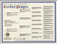 processed/10d1006d-fcdd-45bc-8f73-cf12b1627017/listing/8b26548e-d42f-4459-aae5-ff2b89d07aef/8462cbcf-9b6d-4837-a9b3-cb5791caf225