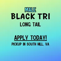 processed/10d1006d-fcdd-45bc-8f73-cf12b1627017/listing/a3764a1d-6835-43b4-bfa4-b2006f1a9be0/66b86c8b-3e61-407a-ba2d-48254d9d05d9