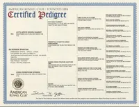 processed/10d1006d-fcdd-45bc-8f73-cf12b1627017/listing/c9e424b8-3b4d-45e8-a458-85d5d15ff34c/55a740c5-0b9b-4769-bc2e-ce0b14159256