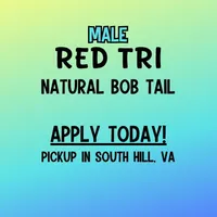 processed/10d1006d-fcdd-45bc-8f73-cf12b1627017/listing/c9e424b8-3b4d-45e8-a458-85d5d15ff34c/bf0195e3-6783-402d-9ef7-4188599f0a37