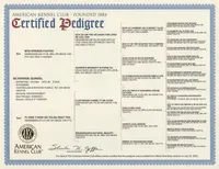 processed/10d1006d-fcdd-45bc-8f73-cf12b1627017/listing/e9530b90-ff63-41ec-b445-f571dd91de27/07ef4005-9895-4500-adde-b56b73c9175f