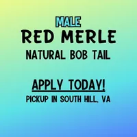 processed/10d1006d-fcdd-45bc-8f73-cf12b1627017/listing/e9530b90-ff63-41ec-b445-f571dd91de27/56e118ca-70f1-4085-a26f-b2390aa36f2d