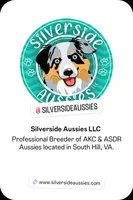 Raven3Boy1- BTM, LONG Tail, OFAs, genetics, blue eyes likely, a male Australian Shepherd for sale in South Hill, VA – Photo 3 of 10