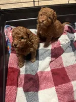 processed/10d48f8d-753e-4196-a66f-e1da41c613d7/facility/6b91428f-e38d-4bfa-9d3f-bdfd9c930160