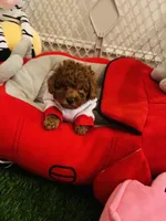 processed/10d48f8d-753e-4196-a66f-e1da41c613d7/facility/7567e5e5-e28a-42eb-a5b0-7c8e8625d758