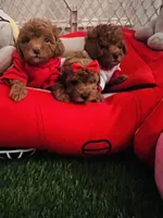 processed/10d48f8d-753e-4196-a66f-e1da41c613d7/facility/d978722c-07a1-4586-a9f6-9bd971385903