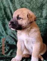 processed/10e7dd18-e6e3-42e8-bd39-ef5b6affd8b2/listing/0742aba6-5596-4f2c-9386-0cac46effe8b/17fb3cfb-bef8-40a3-b799-2ab1c64714f5