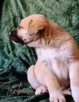 processed/10e7dd18-e6e3-42e8-bd39-ef5b6affd8b2/listing/0742aba6-5596-4f2c-9386-0cac46effe8b/372c33fa-c3ef-47c0-b681-cf1143df855c