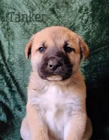 processed/10e7dd18-e6e3-42e8-bd39-ef5b6affd8b2/listing/0742aba6-5596-4f2c-9386-0cac46effe8b/d2b36a14-b434-4d05-86b7-7e4cfb69ee2b