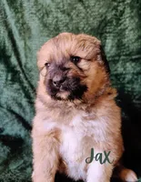 processed/10e7dd18-e6e3-42e8-bd39-ef5b6affd8b2/listing/0d8d24f8-46b9-4fc3-adcf-1509c2047991/1eefe517-ec85-4374-a13d-4d464d443791