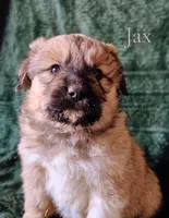 processed/10e7dd18-e6e3-42e8-bd39-ef5b6affd8b2/listing/0d8d24f8-46b9-4fc3-adcf-1509c2047991/5f399b10-9d31-4529-a106-66bc48e47e4c