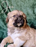 processed/10e7dd18-e6e3-42e8-bd39-ef5b6affd8b2/listing/0d8d24f8-46b9-4fc3-adcf-1509c2047991/681286b7-3ab1-40ce-8fef-216cc74153fa