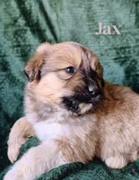 processed/10e7dd18-e6e3-42e8-bd39-ef5b6affd8b2/listing/0d8d24f8-46b9-4fc3-adcf-1509c2047991/88dfe703-b66c-4edb-8c8b-a9e8bb9bd089