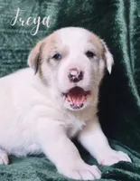 processed/10e7dd18-e6e3-42e8-bd39-ef5b6affd8b2/listing/6840c0a4-b250-4c04-b5b9-0c5f31cfdec9/0e7d1b8d-5ace-4ad1-a406-7a5085f8ce57