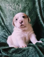 processed/10e7dd18-e6e3-42e8-bd39-ef5b6affd8b2/listing/6840c0a4-b250-4c04-b5b9-0c5f31cfdec9/ead19e2c-3164-445f-a0b7-1cb8a64c8423