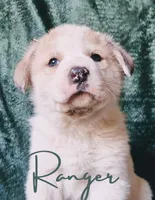 processed/10e7dd18-e6e3-42e8-bd39-ef5b6affd8b2/listing/7e0b2e32-f467-42a9-bd22-42920db824a1/21c12580-7d18-4166-8eaf-8194b36e8adb