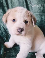 processed/10e7dd18-e6e3-42e8-bd39-ef5b6affd8b2/listing/7e0b2e32-f467-42a9-bd22-42920db824a1/a61ffd8c-6152-4d3e-9aa8-bf40bef7b814