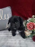 processed/10ee0c28-c95c-4894-af41-515147afdb55/listing/08675f1c-e781-4b97-961e-719997a96777/3b059da1-61fa-4537-8304-0467c8449d7e