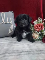 processed/10ee0c28-c95c-4894-af41-515147afdb55/listing/08675f1c-e781-4b97-961e-719997a96777/4041d4c3-0986-430c-9566-87489e452b97