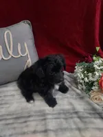 processed/10ee0c28-c95c-4894-af41-515147afdb55/listing/08675f1c-e781-4b97-961e-719997a96777/da33138c-9cb7-4f35-a8d7-8057fdc18e8b