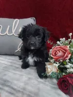 processed/10ee0c28-c95c-4894-af41-515147afdb55/listing/08675f1c-e781-4b97-961e-719997a96777/f0d3a88d-7c87-4bce-b2d2-76fae4ed962f