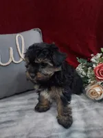 processed/10ee0c28-c95c-4894-af41-515147afdb55/listing/4ac53586-26c2-438b-955b-59709bb4a54a/45897d36-cb13-4e0b-9bf8-d9a60af41cac