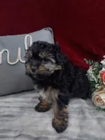 processed/10ee0c28-c95c-4894-af41-515147afdb55/listing/4ac53586-26c2-438b-955b-59709bb4a54a/4f1964e5-71ef-4df2-9de7-3d8cccc4a00c