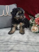 processed/10ee0c28-c95c-4894-af41-515147afdb55/listing/4ac53586-26c2-438b-955b-59709bb4a54a/b8e1de85-b92b-4110-855f-350d6d6146c4