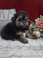 processed/10ee0c28-c95c-4894-af41-515147afdb55/listing/4ac53586-26c2-438b-955b-59709bb4a54a/ce244a4d-796a-420f-b327-3318b161e558