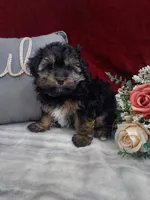 processed/10ee0c28-c95c-4894-af41-515147afdb55/listing/4ac53586-26c2-438b-955b-59709bb4a54a/ce367e21-5531-45ed-8480-5a593345bc69