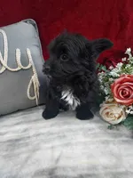 processed/10ee0c28-c95c-4894-af41-515147afdb55/listing/91e89200-06d8-43cc-b0b0-5c7d9222211b/17065a3d-df77-4fc0-a80c-ce77649e904b