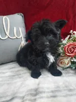 processed/10ee0c28-c95c-4894-af41-515147afdb55/listing/91e89200-06d8-43cc-b0b0-5c7d9222211b/18e58563-c9ef-40cf-a840-7ab4f00c090d