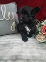 processed/10ee0c28-c95c-4894-af41-515147afdb55/listing/91e89200-06d8-43cc-b0b0-5c7d9222211b/98ff552a-bff2-4353-9d0c-930f2b394790