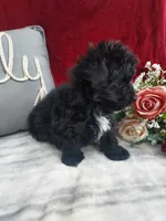 processed/10ee0c28-c95c-4894-af41-515147afdb55/listing/91e89200-06d8-43cc-b0b0-5c7d9222211b/a9639f66-7ab8-4d75-8c16-ac0a935a1c10