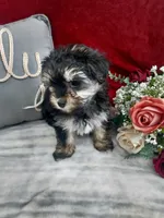 processed/10ee0c28-c95c-4894-af41-515147afdb55/listing/c5027b13-f992-4c14-8c5f-625a5e5b708a/2ed64a78-47ce-48aa-87e2-f62fc0555422