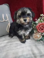 processed/10ee0c28-c95c-4894-af41-515147afdb55/listing/c5027b13-f992-4c14-8c5f-625a5e5b708a/419334ab-0a0c-4729-8104-a0ecd7166d4f