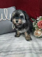 processed/10ee0c28-c95c-4894-af41-515147afdb55/listing/c5027b13-f992-4c14-8c5f-625a5e5b708a/a5282977-1b2c-4237-9973-8a184e9d29d4