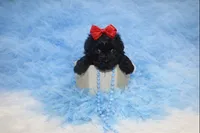 processed/10f41b9b-2443-46d8-a8b9-c1e21c819cac/listing/38de769a-5148-4e4f-acb9-2c90a821cf7d/02474e44-e05b-4b26-a727-82fb10407d22