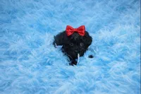 processed/10f41b9b-2443-46d8-a8b9-c1e21c819cac/listing/52b33279-30af-4965-888a-dcf8c88a9b40/143ab68a-11bd-42e1-abb7-832c4877dfe7