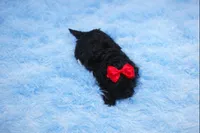 processed/10f41b9b-2443-46d8-a8b9-c1e21c819cac/listing/52b33279-30af-4965-888a-dcf8c88a9b40/a9b6e670-f5f7-4278-8e6d-497f065d2f3f