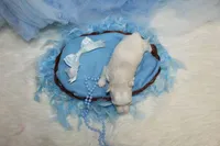 Maltese Male Puppies, a male Maltese for sale in Sparta, TN – Photo 4 of 10