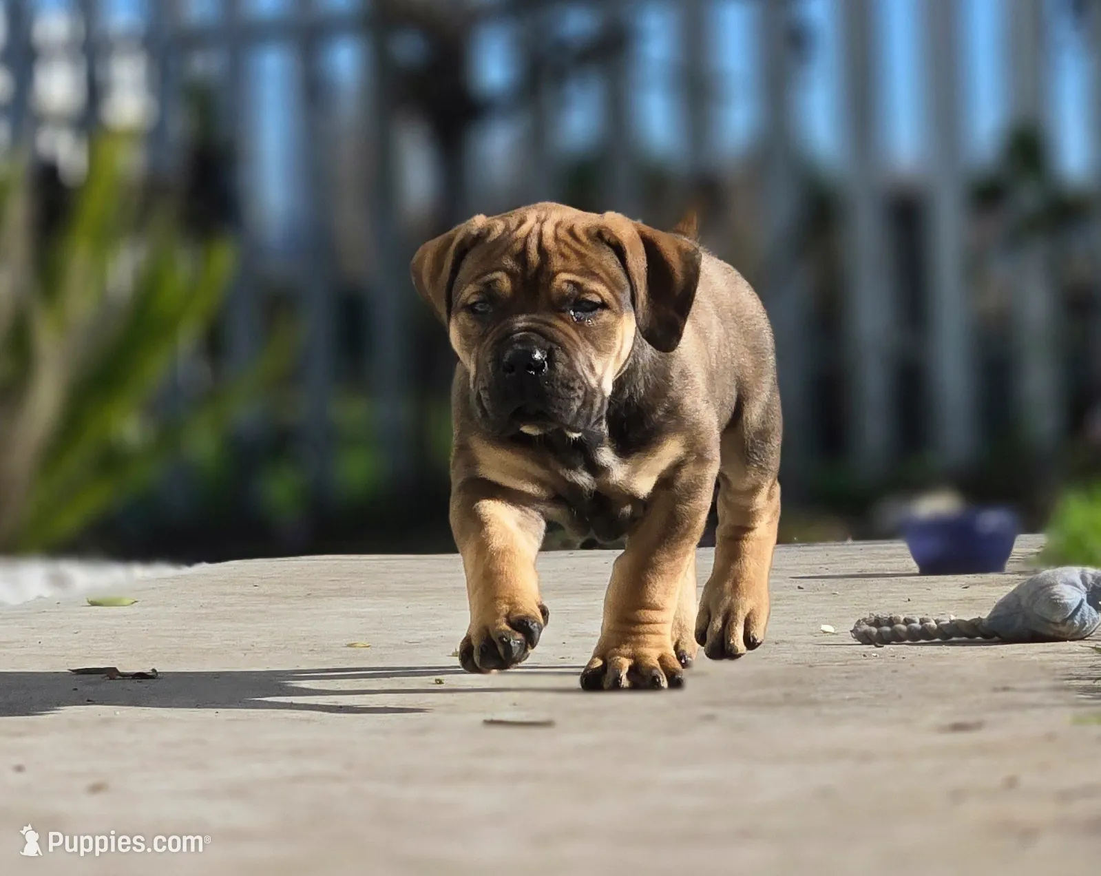 processed/10fa3523-a904-449d-9cf0-ec6cef470ca4/listing/91781526-0377-485f-ba3e-6c6c24f2712d/2782129a-aa54-4f19-b633-3fec53cac293