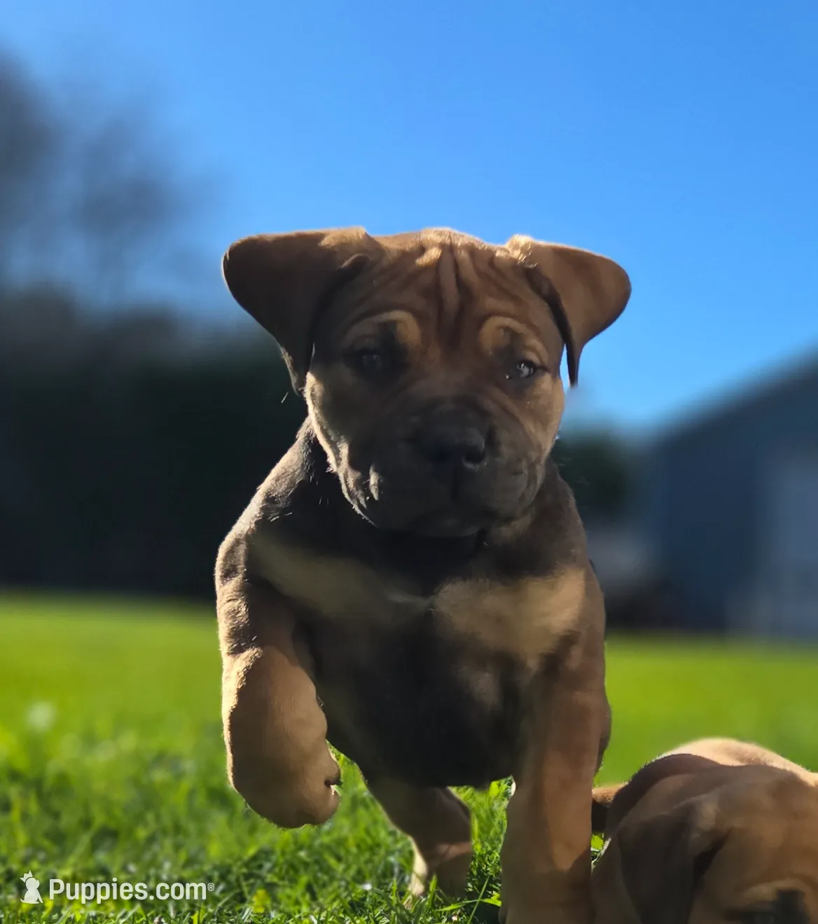 processed/10fa3523-a904-449d-9cf0-ec6cef470ca4/listing/91781526-0377-485f-ba3e-6c6c24f2712d/d3b160fb-360b-41f2-a2fd-75e8693bd4a9