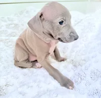 processed/110680ad-ad87-4941-9517-bad46c6332dc/listing/1c112781-1fec-4461-8cb8-c7a4c2abf59a/802fef22-4288-48fc-882a-06b64e577894